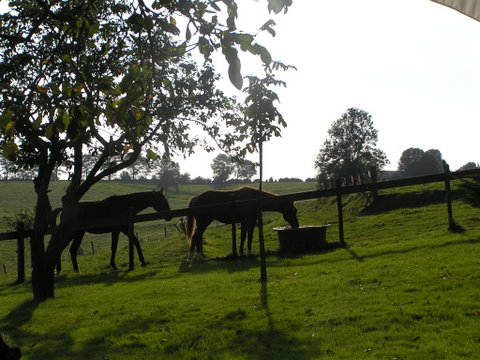 Sleenhuisje, Slenaken in Zuid Limburg